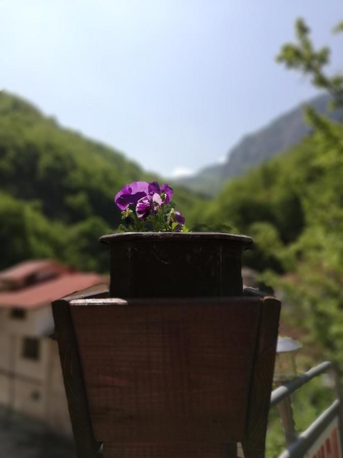 Дом Бакалски-Кмета Narechenski Bani Extérieur photo