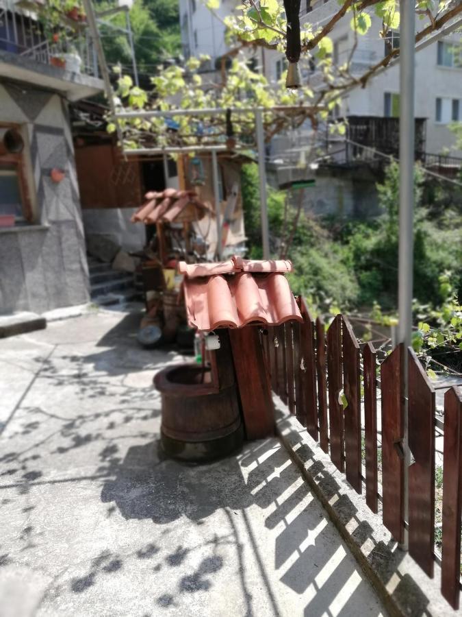 Дом Бакалски-Кмета Narechenski Bani Extérieur photo