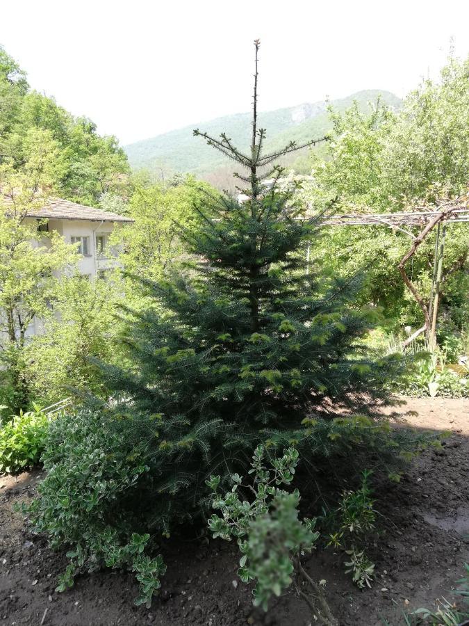 Дом Бакалски-Кмета Narechenski Bani Extérieur photo