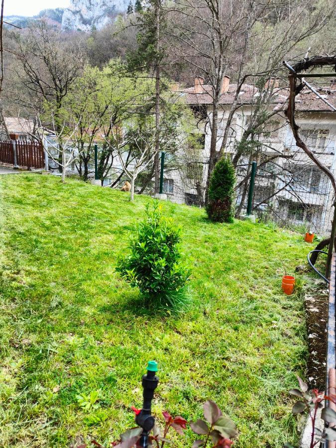 Дом Бакалски-Кмета Narechenski Bani Extérieur photo